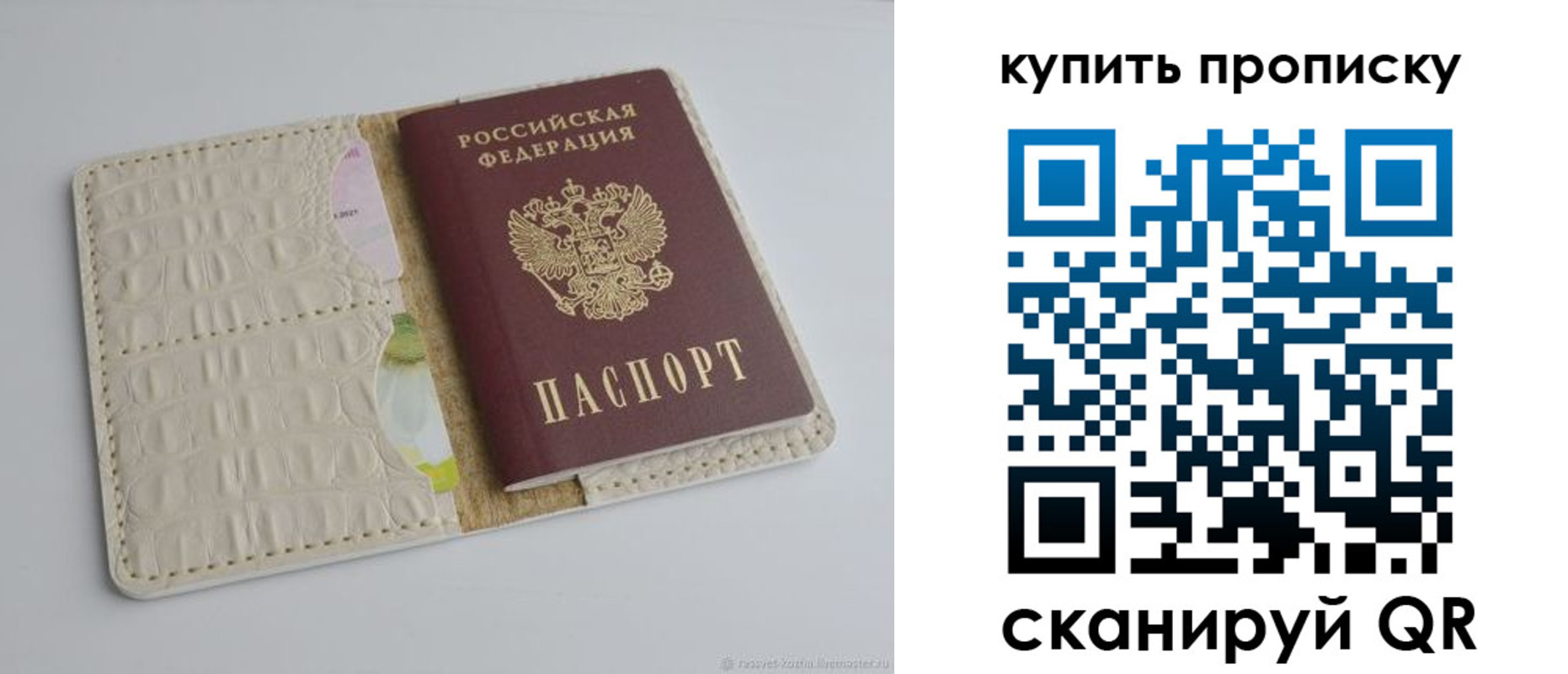 временная регистрация гарантия в Славгороде
